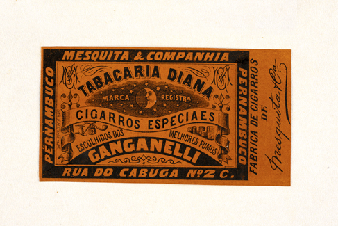 vizualizar o documento on line